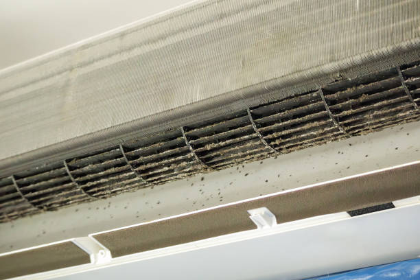 Best General Air Duct Cleaning  in Fruitland, ID